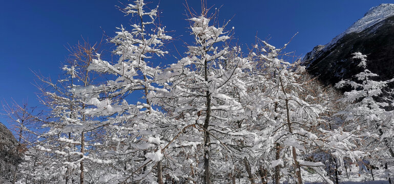 雪山风景