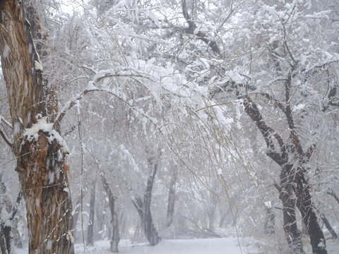 下雪