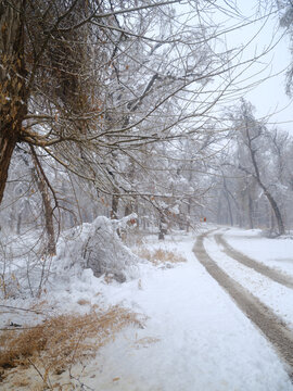 雪中小路