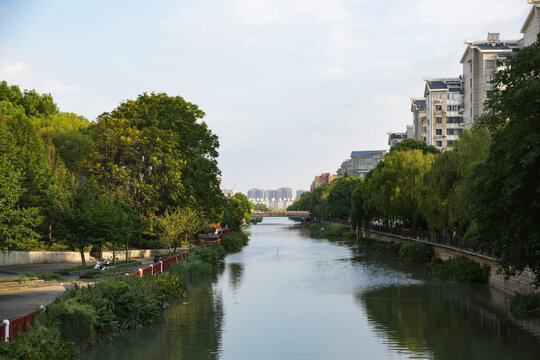 城市绿化河道