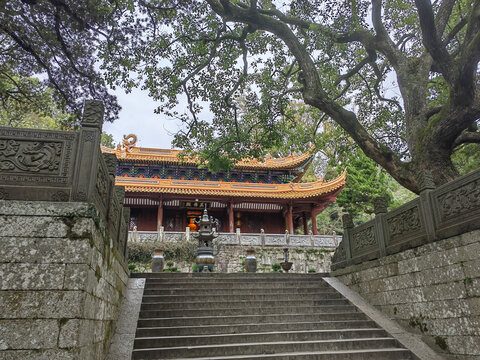 普陀山法雨寺