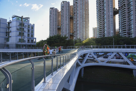 新洲河红树碧道