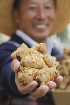 手里拿着新鲜生姜