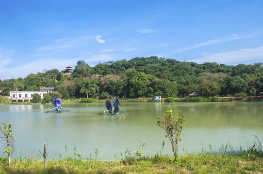 漳州风景南湖生态公园