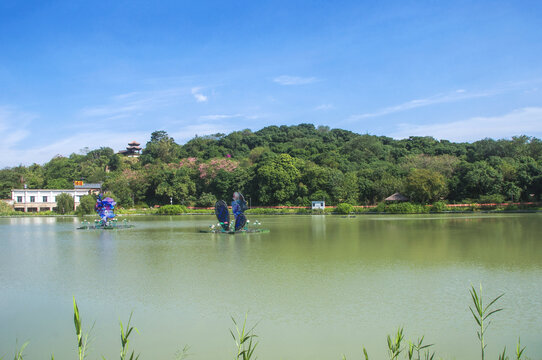 漳州南湖生态园湖泊风景