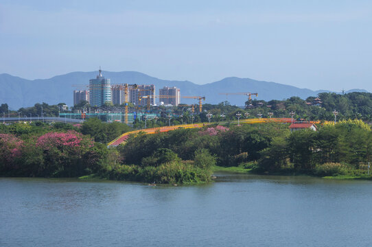 漳州南湖生态公园景观