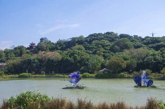 漳州南湖生态公园风景