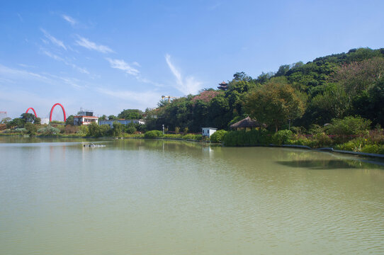 漳州南湖生态公园湖畔风景