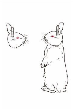 线描直立的兔子