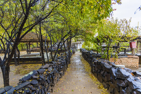 朝鲜族百年部落雨天景观