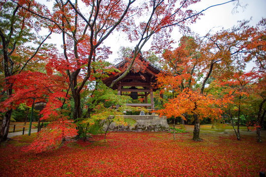 金阁寺小景