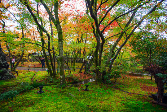 京都岚山狮吼院