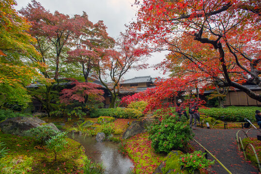 京都岚山狮吼院