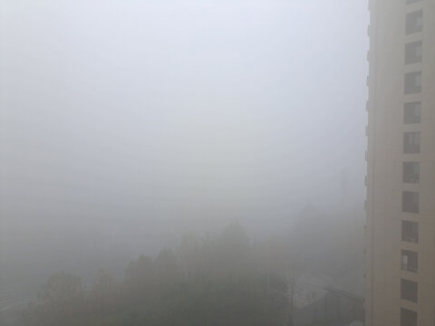 浓雾笼罩