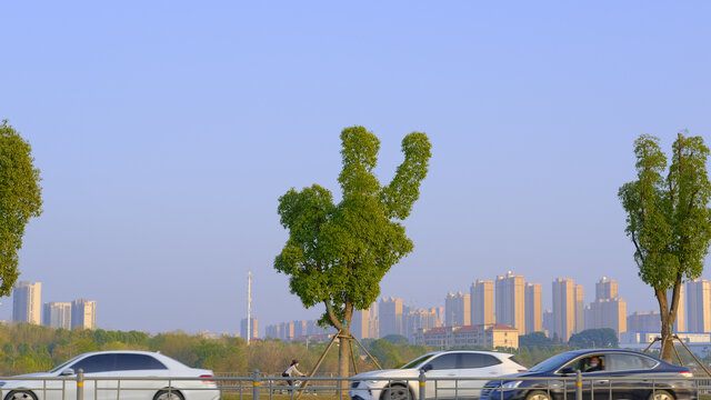 城市风景