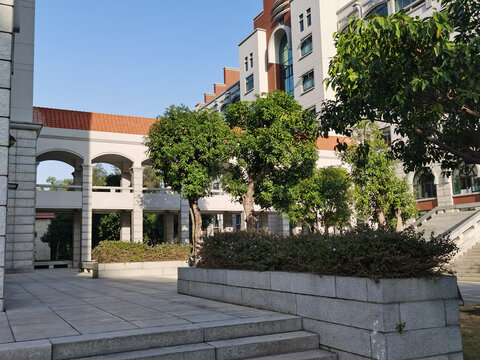 厦门大学