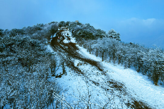 龙王山雪景