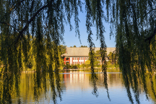 垂柳掩映北京大学未名湖红四楼