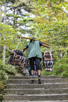 黄山自然风景区的挑山工