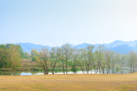 远山近柳小河美景