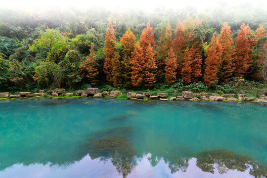 贵阳双龙湿地公园