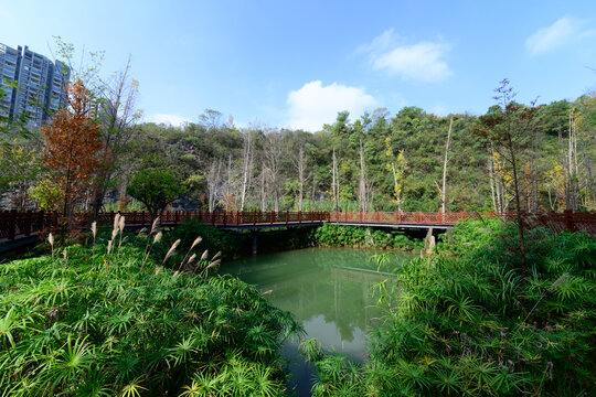 贵阳双龙湿地公园