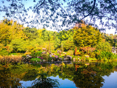 西湖风景