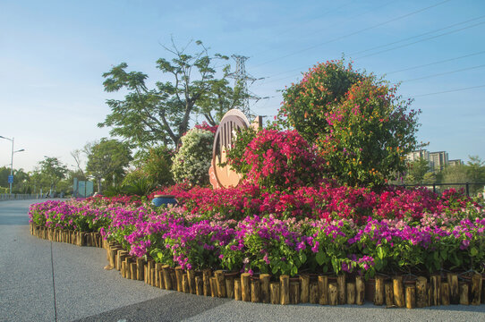 漳州西院湖生态园花圃园艺