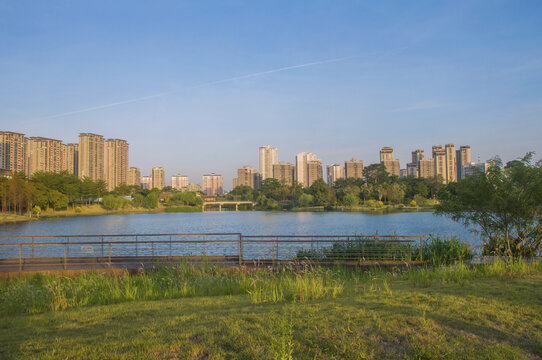 漳州城市湖畔风景