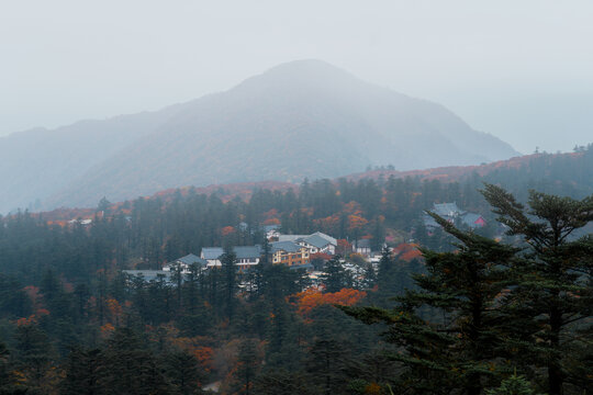 四川峨眉山森林山脉美丽风光