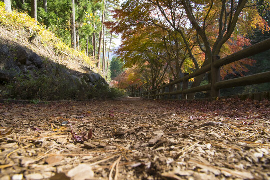 泥土