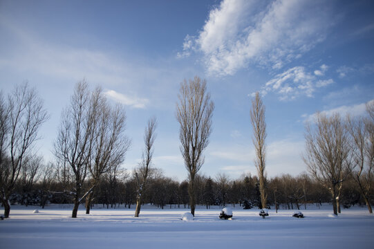 雪地天空