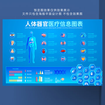 人体器官医疗信息图表