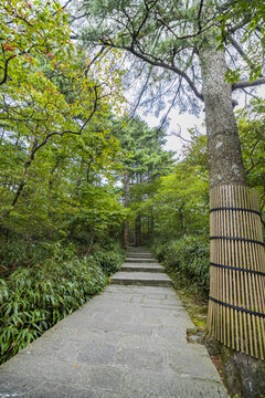 黄山自然风景区的山间通道