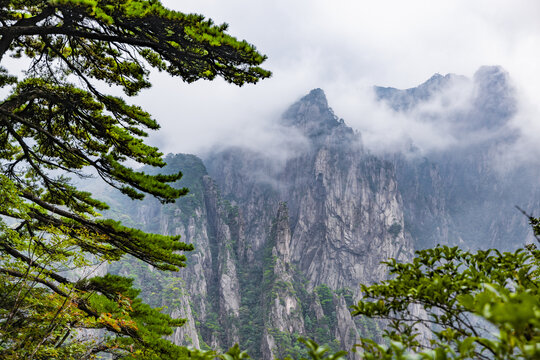 安徽黄山风景区自然风光