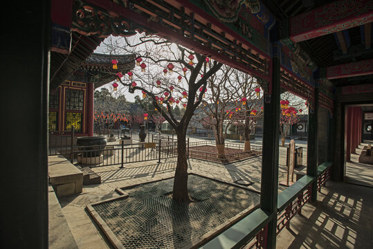 北京颐和园灯笼
