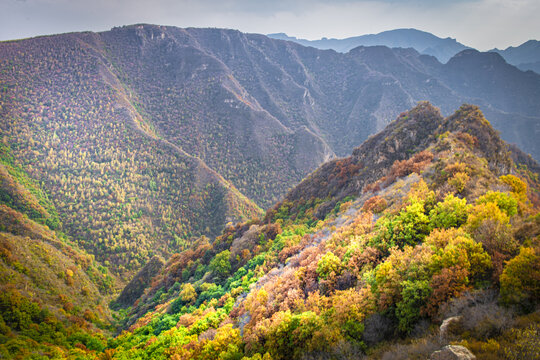 高山秋色