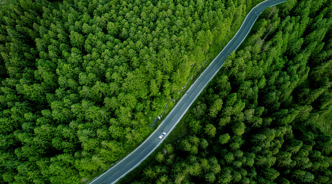 仙女山景区公路