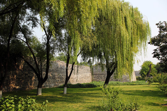 北京明城墙遗址古墙绿树