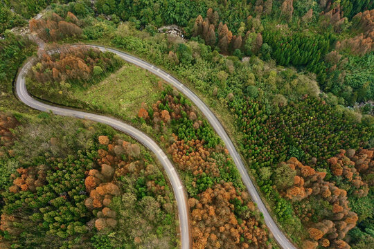 崇州琉璃坝彩林公路最美乡村