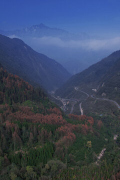 崇州琉璃坝彩林公路最美乡村