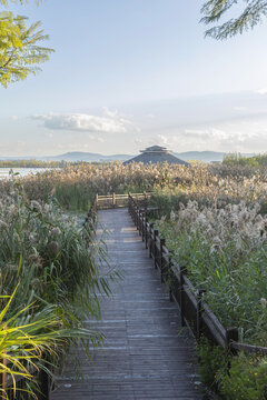 云南保山青华海观景栈道