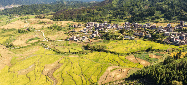 钟山小岷梯田