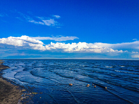 青海湖风光