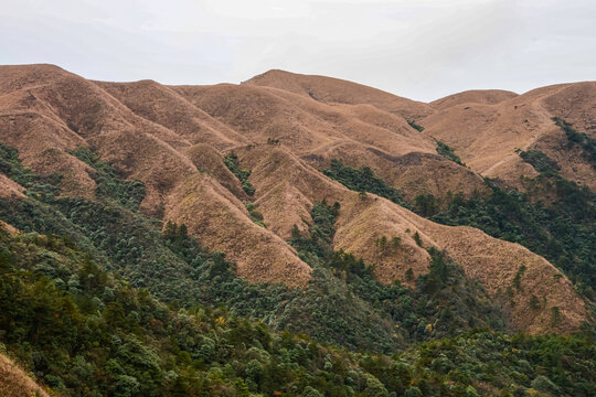 武功山风景