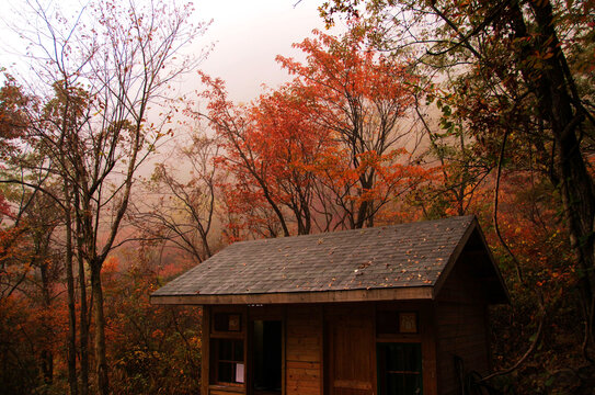 秋天的小木屋