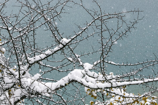 玉龙雪山蓝月谷雪景