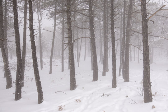 丽江玉龙雪山冬雪