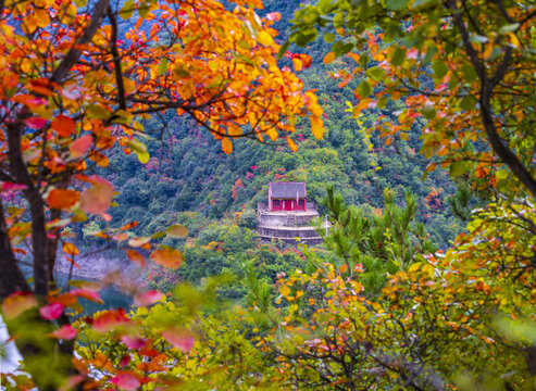 云海飘渺红叶似火美景