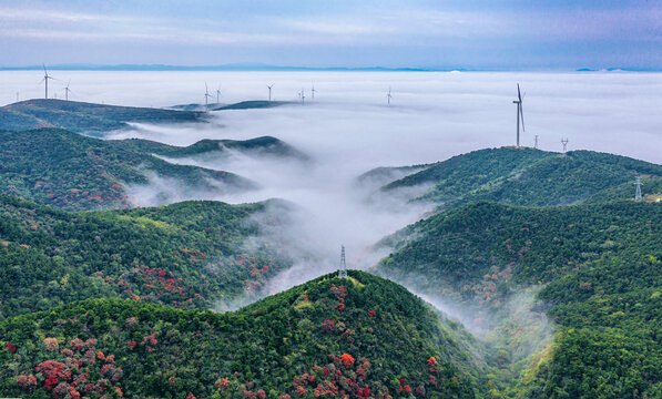 云海飘渺红叶似火美景